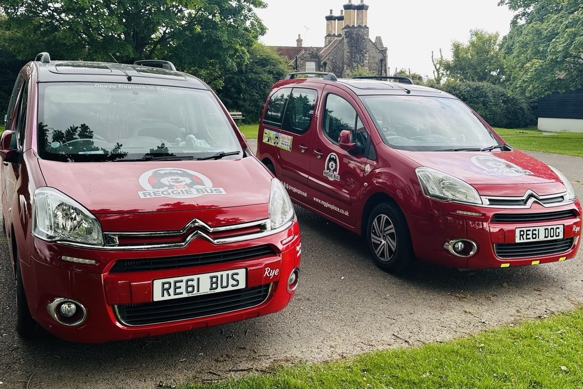 The two red Reggie Bus vans parked side by side, plates RE61 BUS and RE61 DOG
